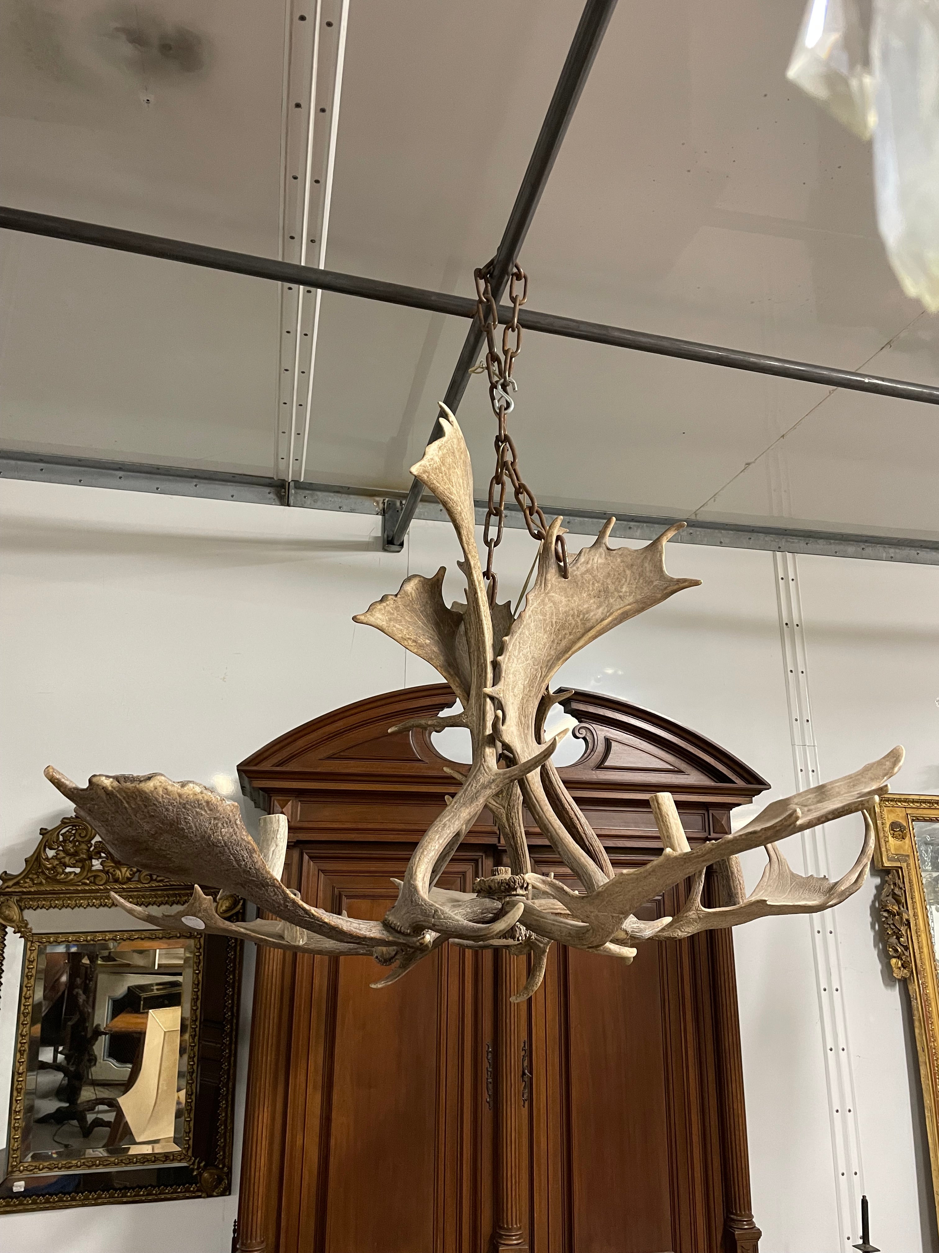 Lustre en bois d’élan