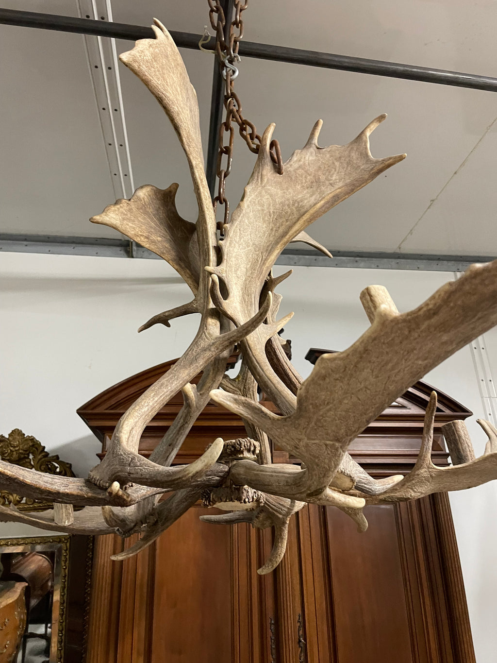 Lustre en bois d’élan