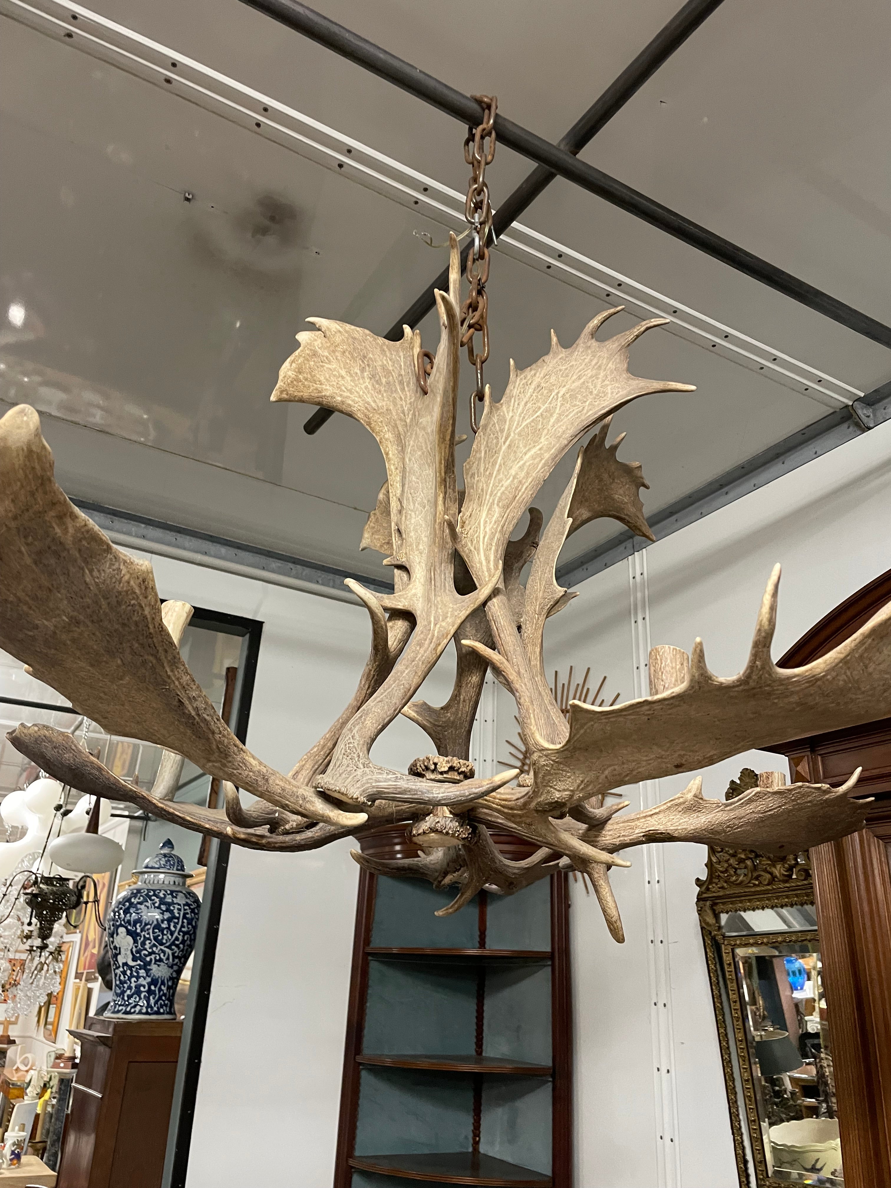 Lustre en bois d’élan