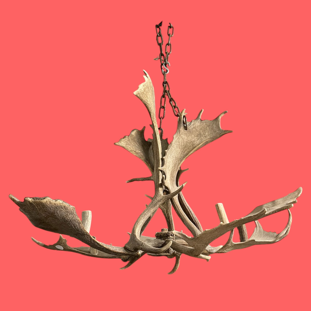 Lustre en bois d’élan