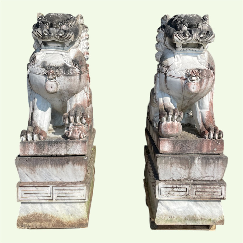 IMPORTANTE PAIRE DE CHIENS DE FÔ GARDIENS DE TEMPLE SCULPTURE EN MARBRE HAUTEUR 180 CM
