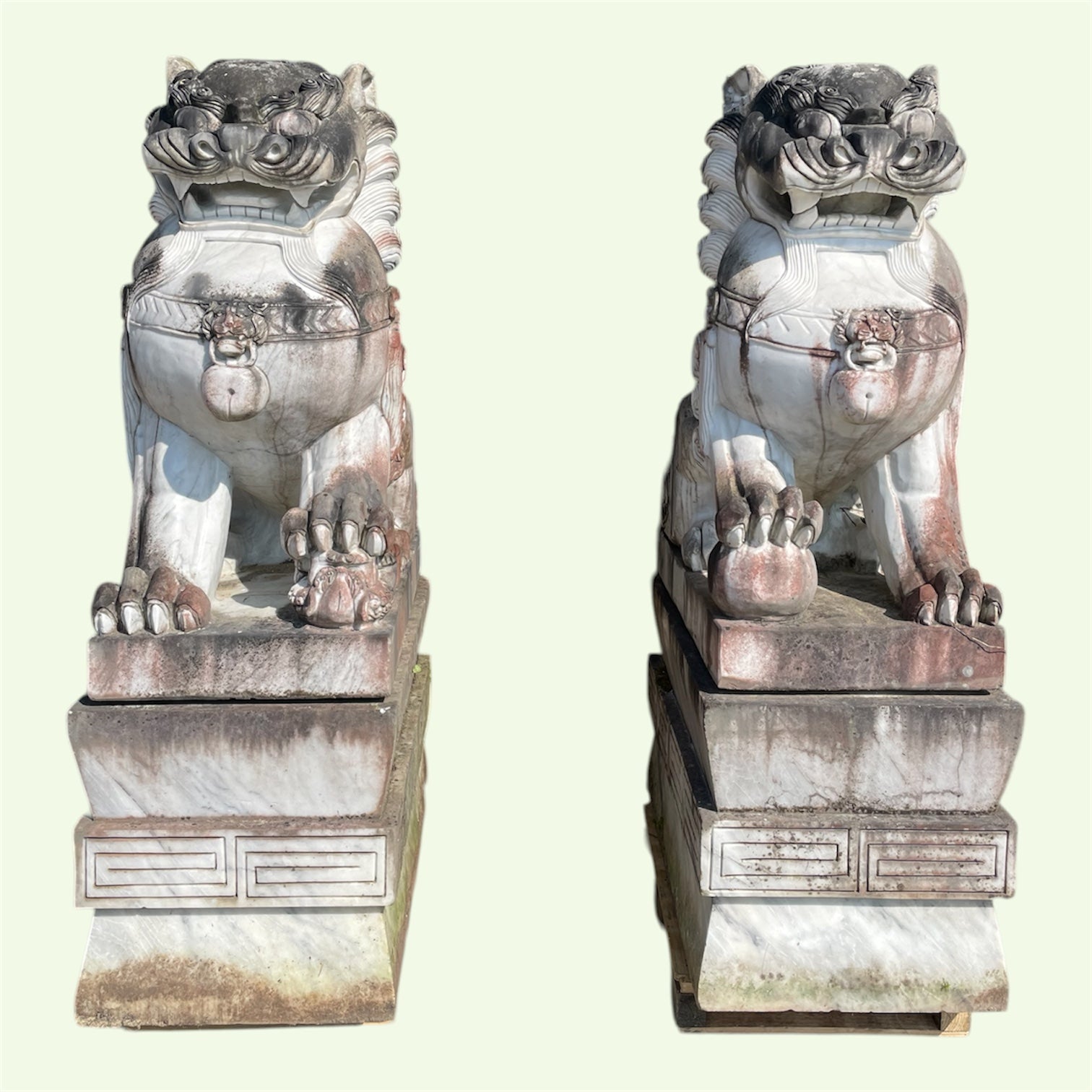 IMPORTANTE PAIRE DE CHIENS DE FÔ GARDIENS DE TEMPLE SCULPTURE EN MARBRE HAUTEUR 180 CM