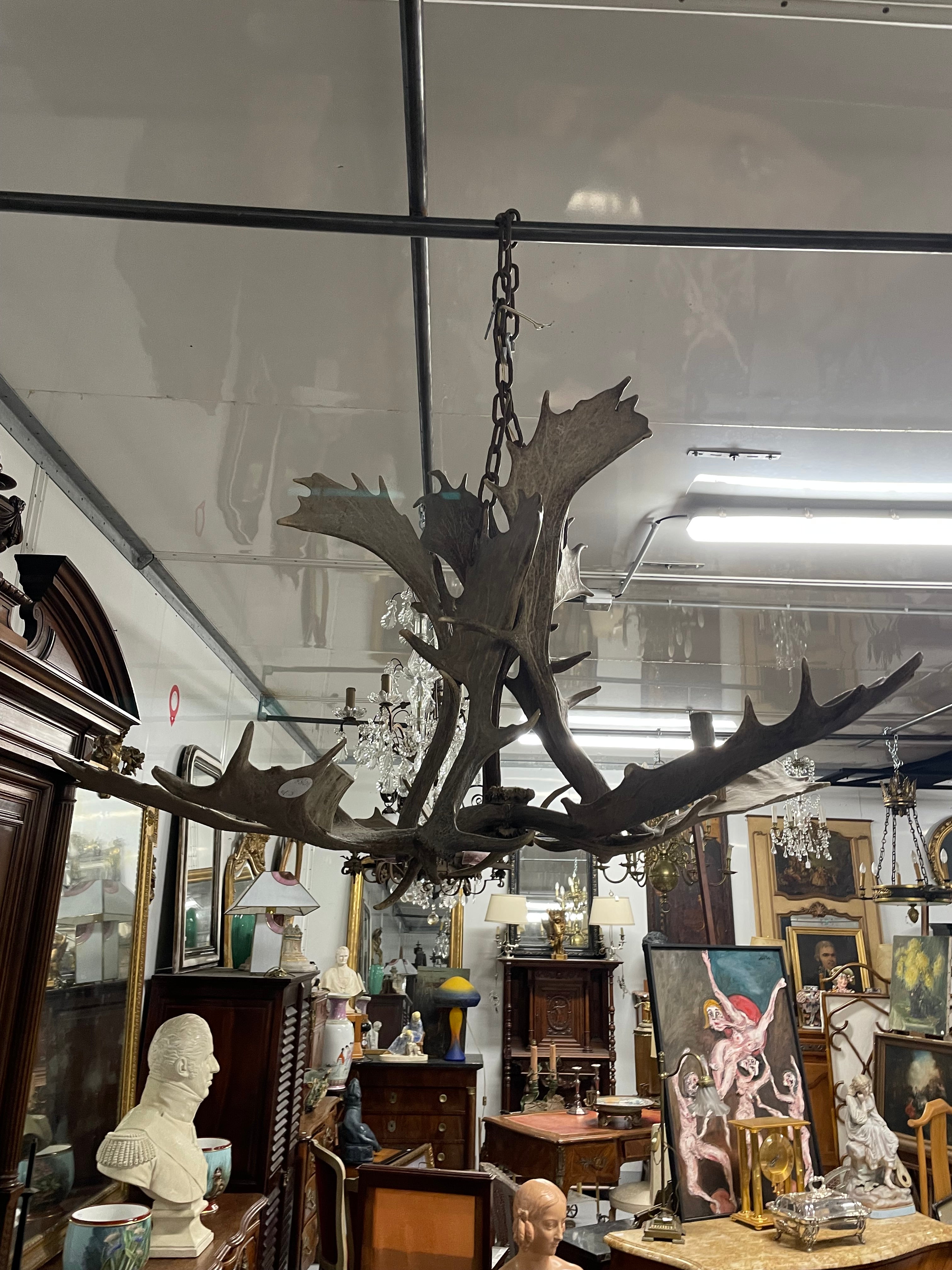 Lustre en bois d’élan